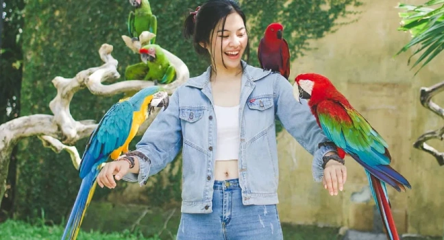 Bird Paradise Singapore