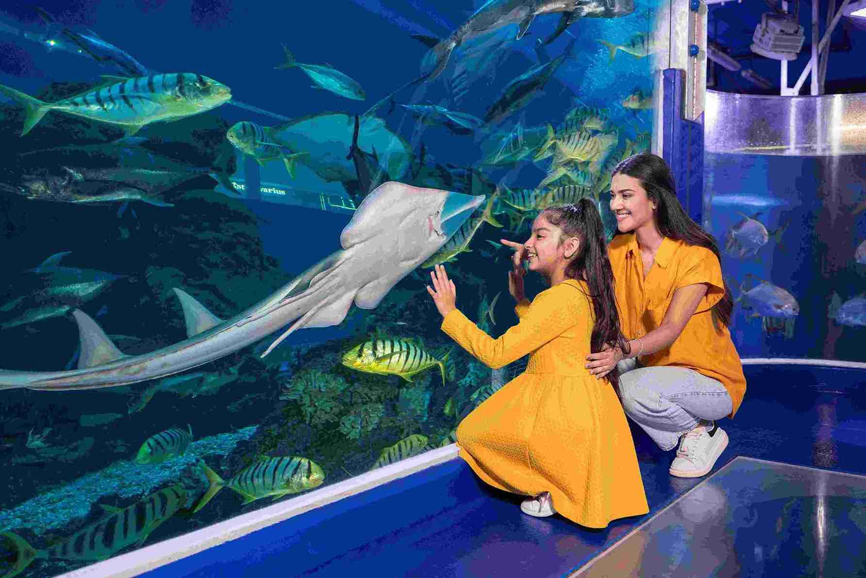  Dubai Mall Aquarium and Underwater Zoo 