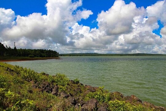 Exotic South: Journey into the Nature (Full-Day Tour incl Lunch & Ebony Forest) (Trou d'Eau Douce)