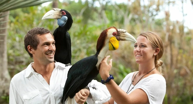 Bird Paradise Singapore