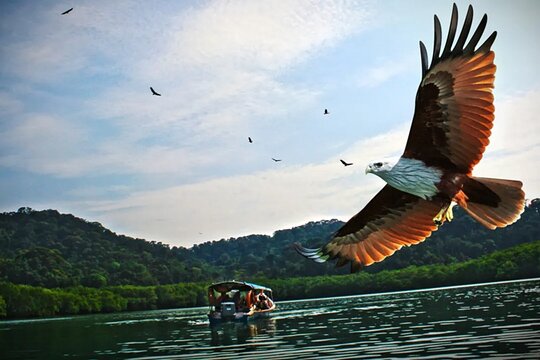 Sharing Half Day Kilim Geoforest Park Mangrove Boat Tour - Sharing-Half Day Boat