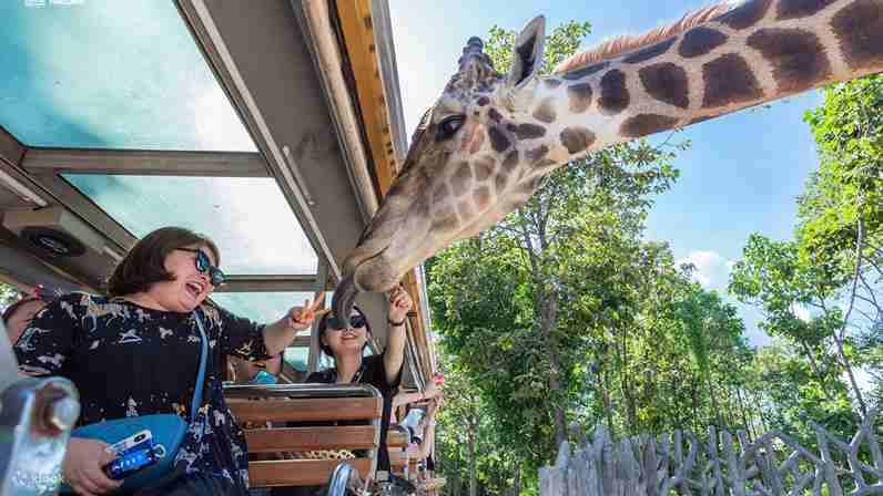 Singapore Zoo Tickets With Tram Ride