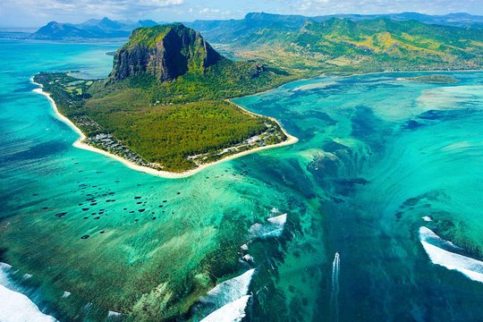 Exotic South: Journey into the Nature (Full-Day Tour incl Lunch & Ebony Forest) (Trou d'Eau Douce)