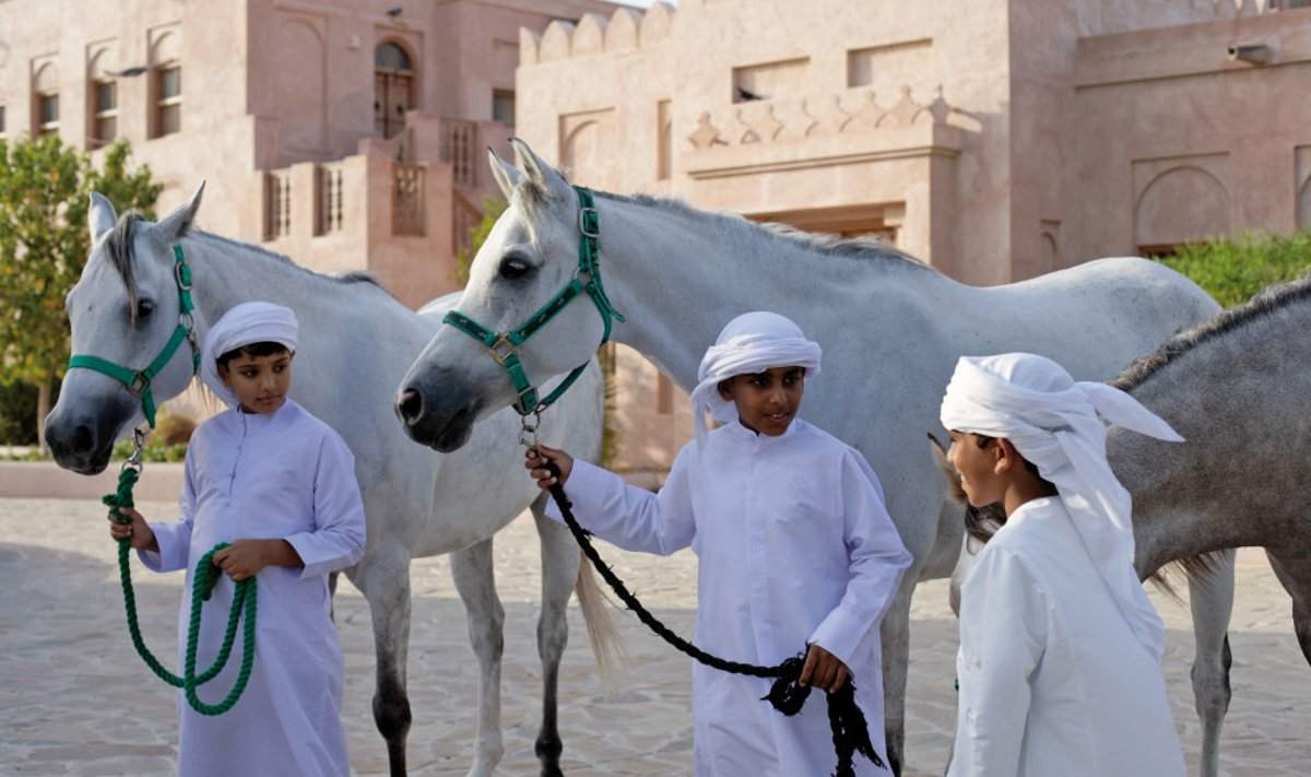 Arabian Morning Horse Riding & Stable Tour 