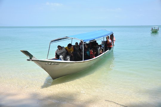 Sharing Basis Half-Day Mangrove Safari Boat Tour in Langkawi - Standard Lunch Set