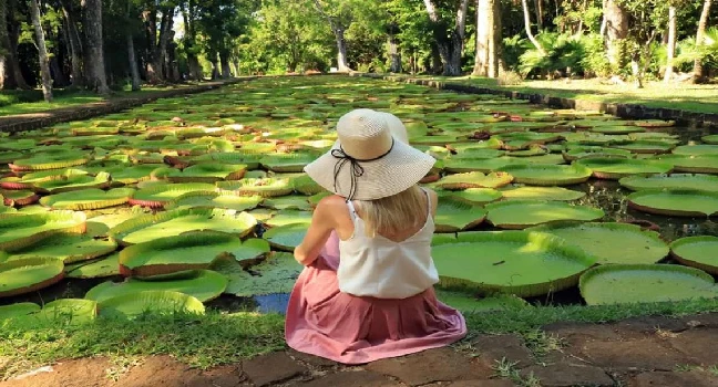 Discovering the North of Mauritius