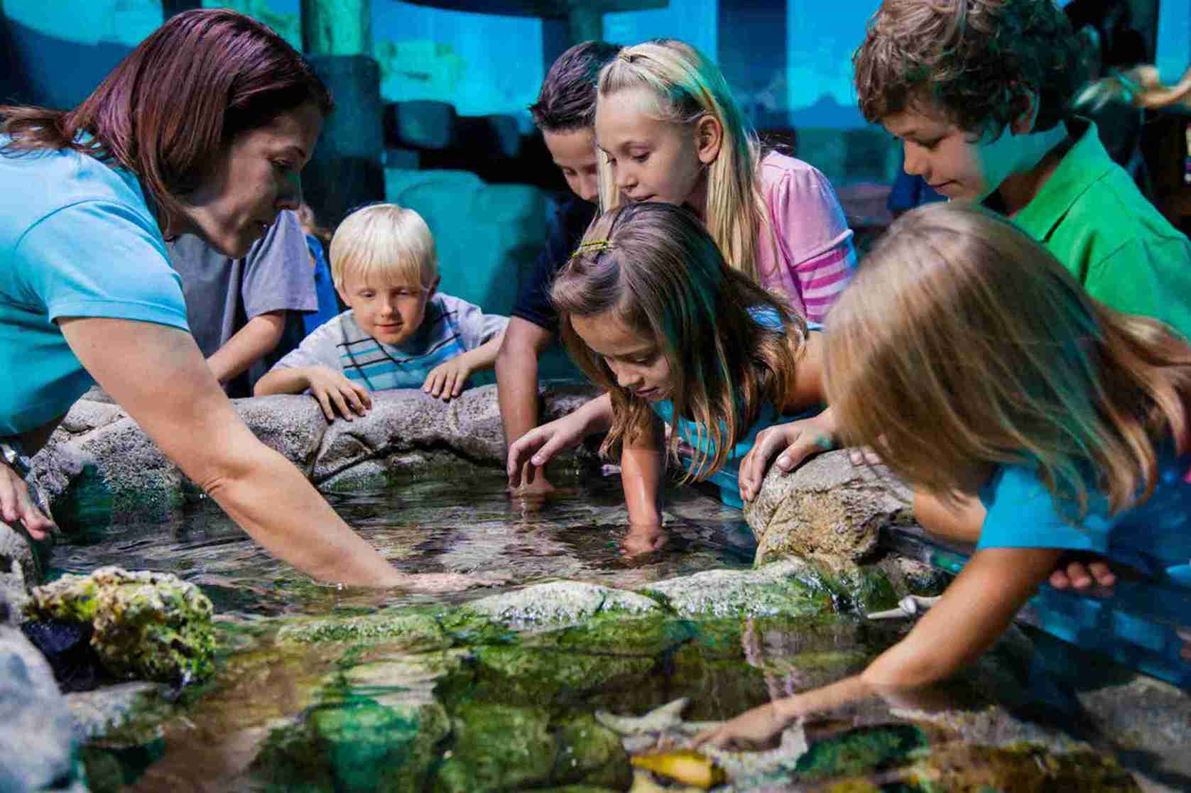 Icon Park Orlando