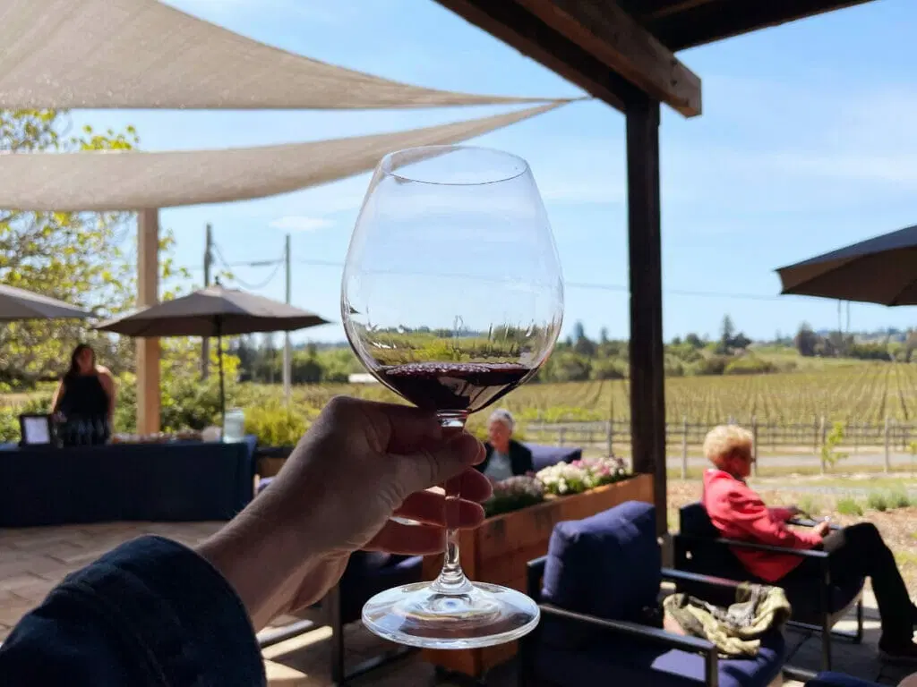 Half-Day Wine Tour from San Francisco