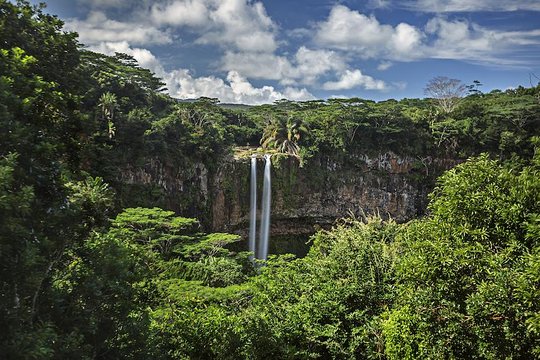 Exotic South: Journey into the Nature (Full-Day Tour incl Lunch & Ebony Forest) (Trou d'Eau Douce)