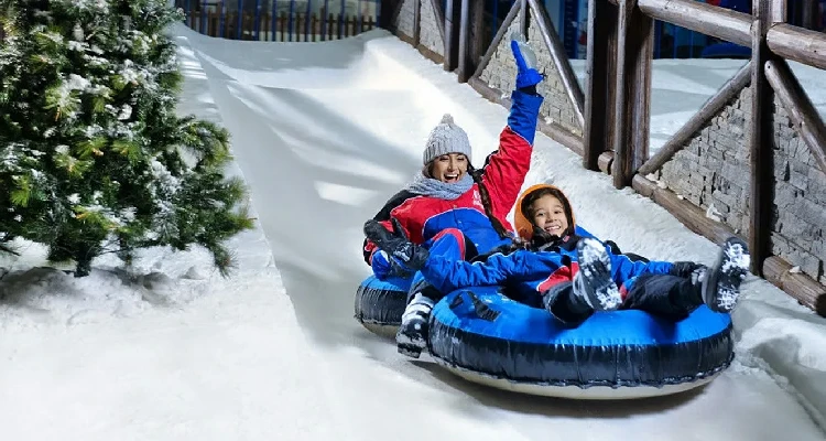 Ski Dubai Tour Private Transfer