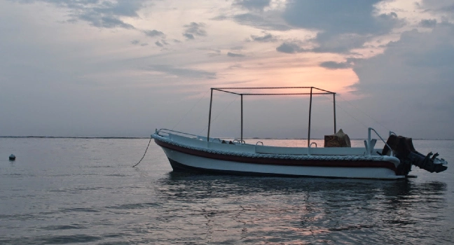 Sharing Basis Half-Day Mangrove Safari Boat Tour in Langkawi - Standard Lunch Set