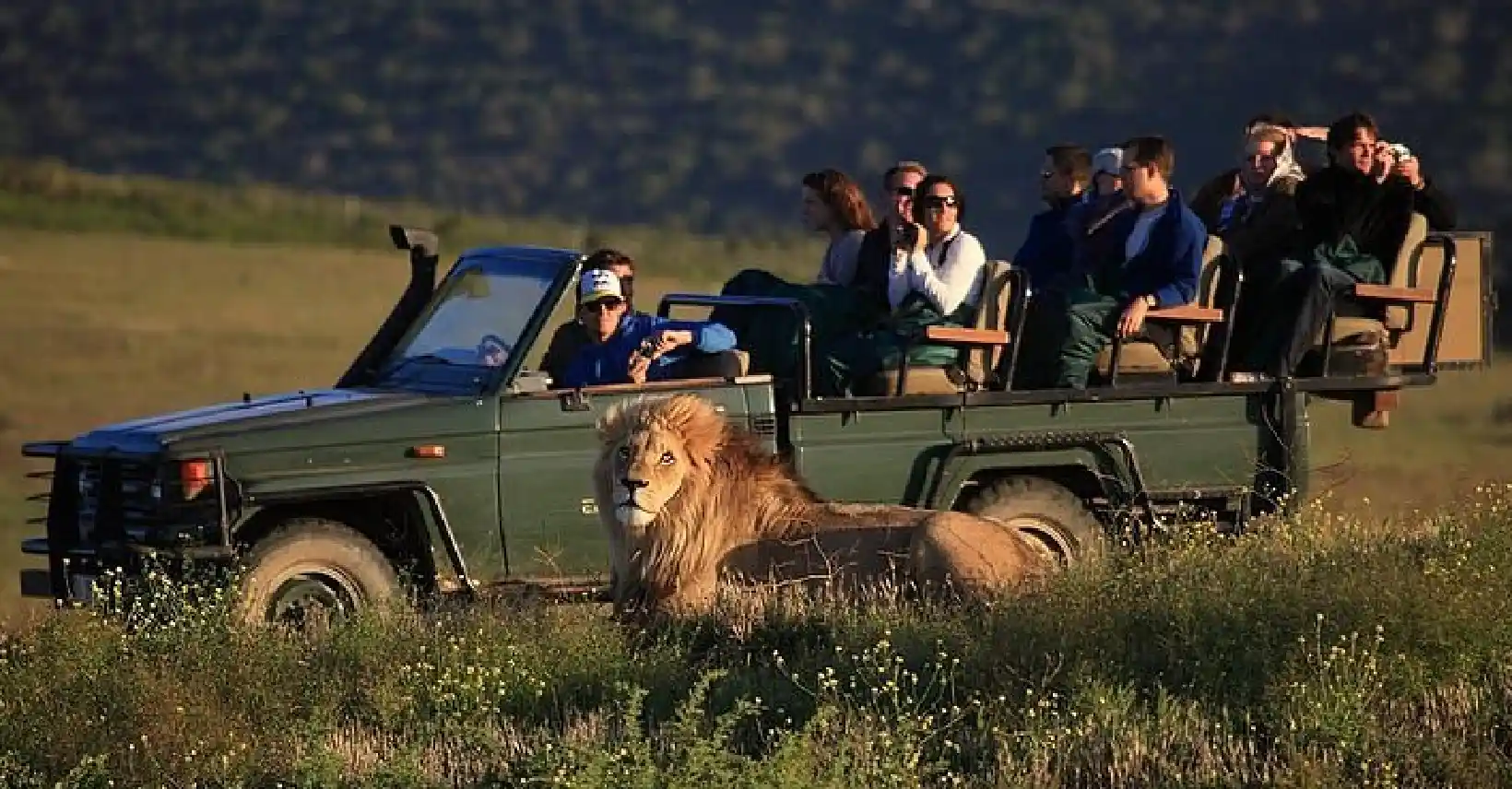 Big Five Game Safari