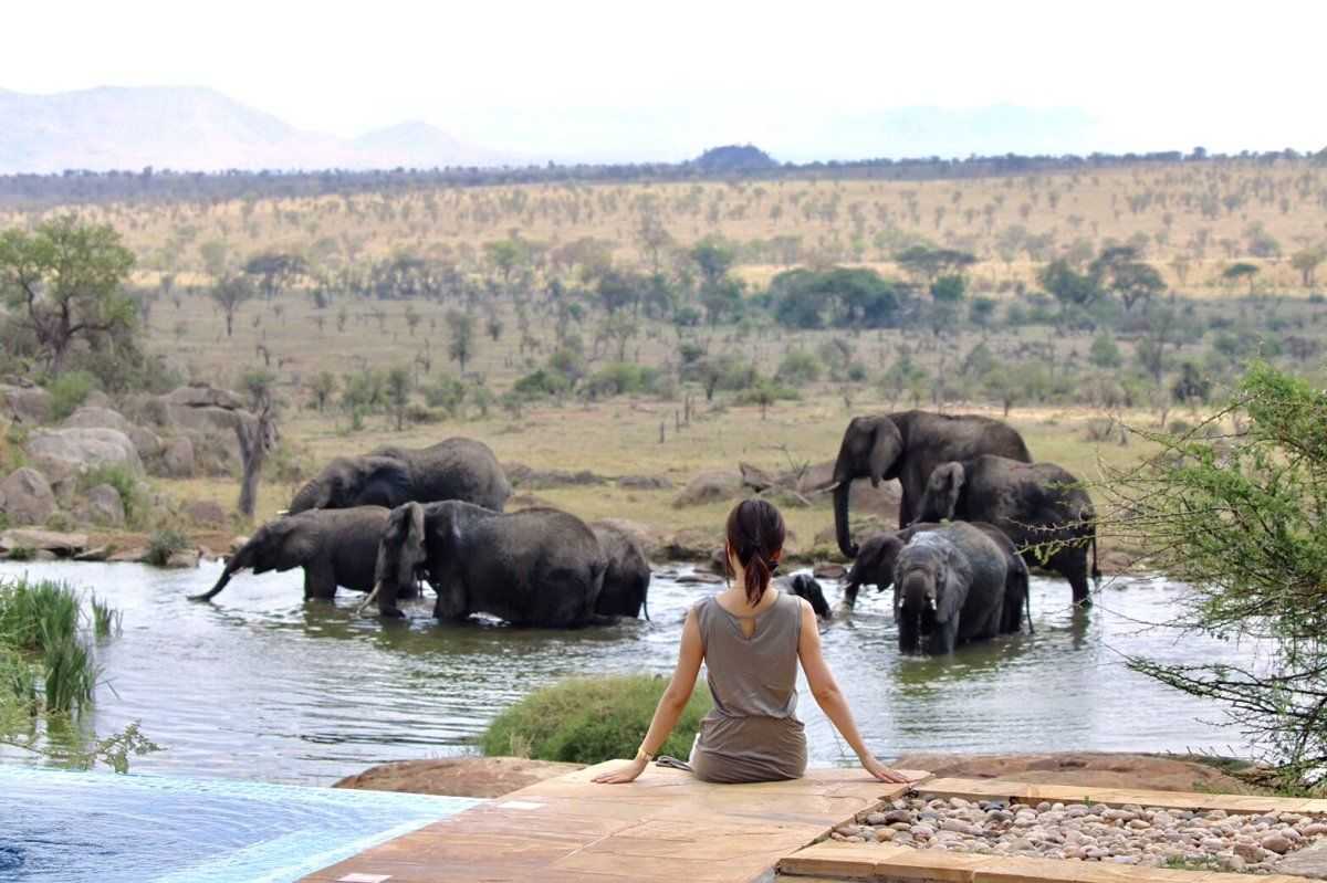 Half Day Safari Tour from Durban