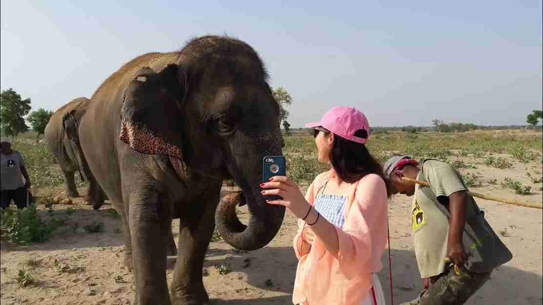 Wildlife SOS Agra Tour