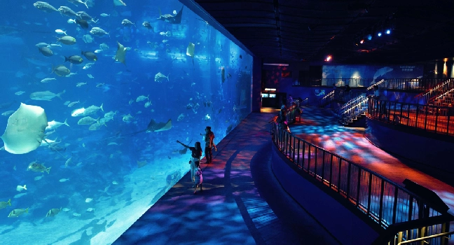 Sea Aquarium