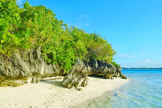 Mahebourg Mauritius Unveiling Authentic Wine & Dine Delights (Trou d'Eau Douce)