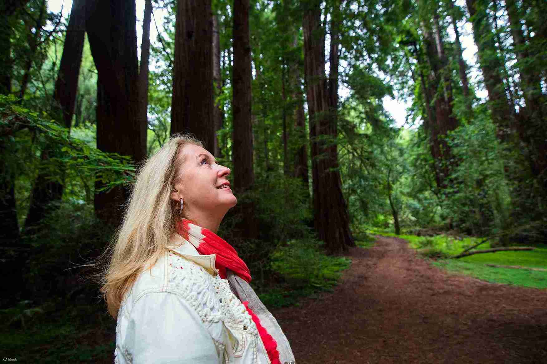 Muir Woods and Sausalito Tour