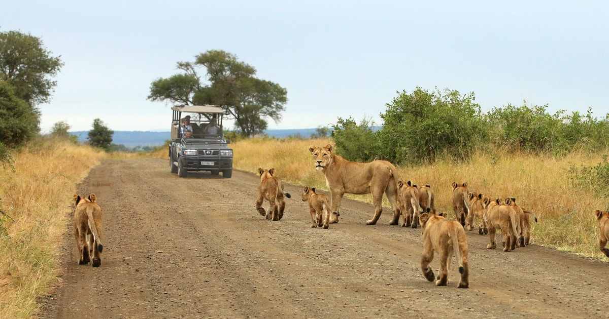 Two day Kruger National Park Safari