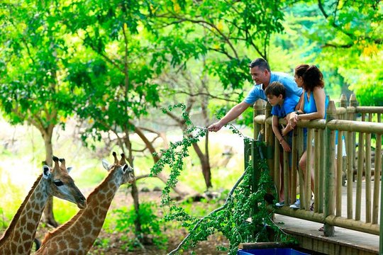 South of Mauritius Full Day Tour