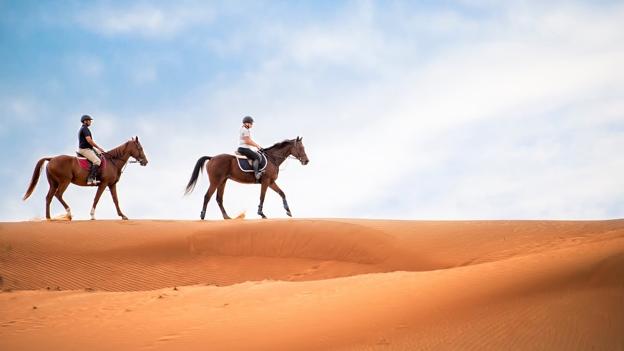 Arabian Morning Horse Riding & Stable Tour