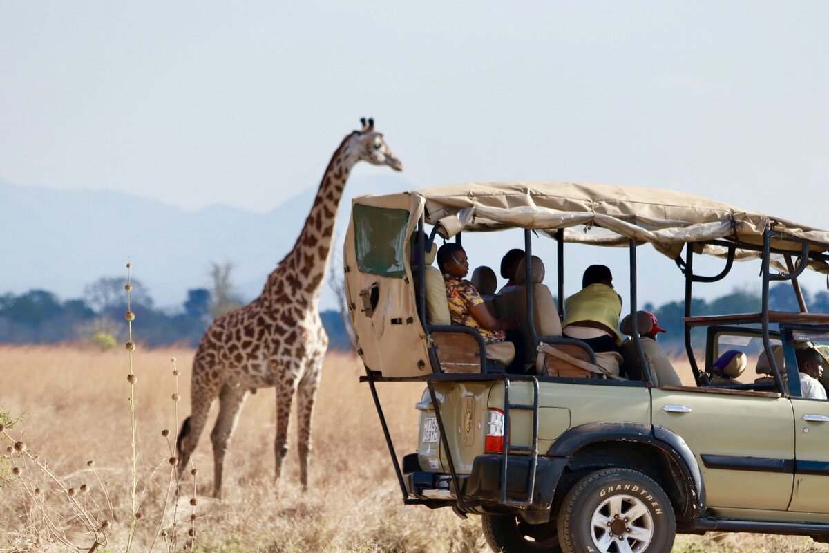 Half Day Safari Tour from Durban