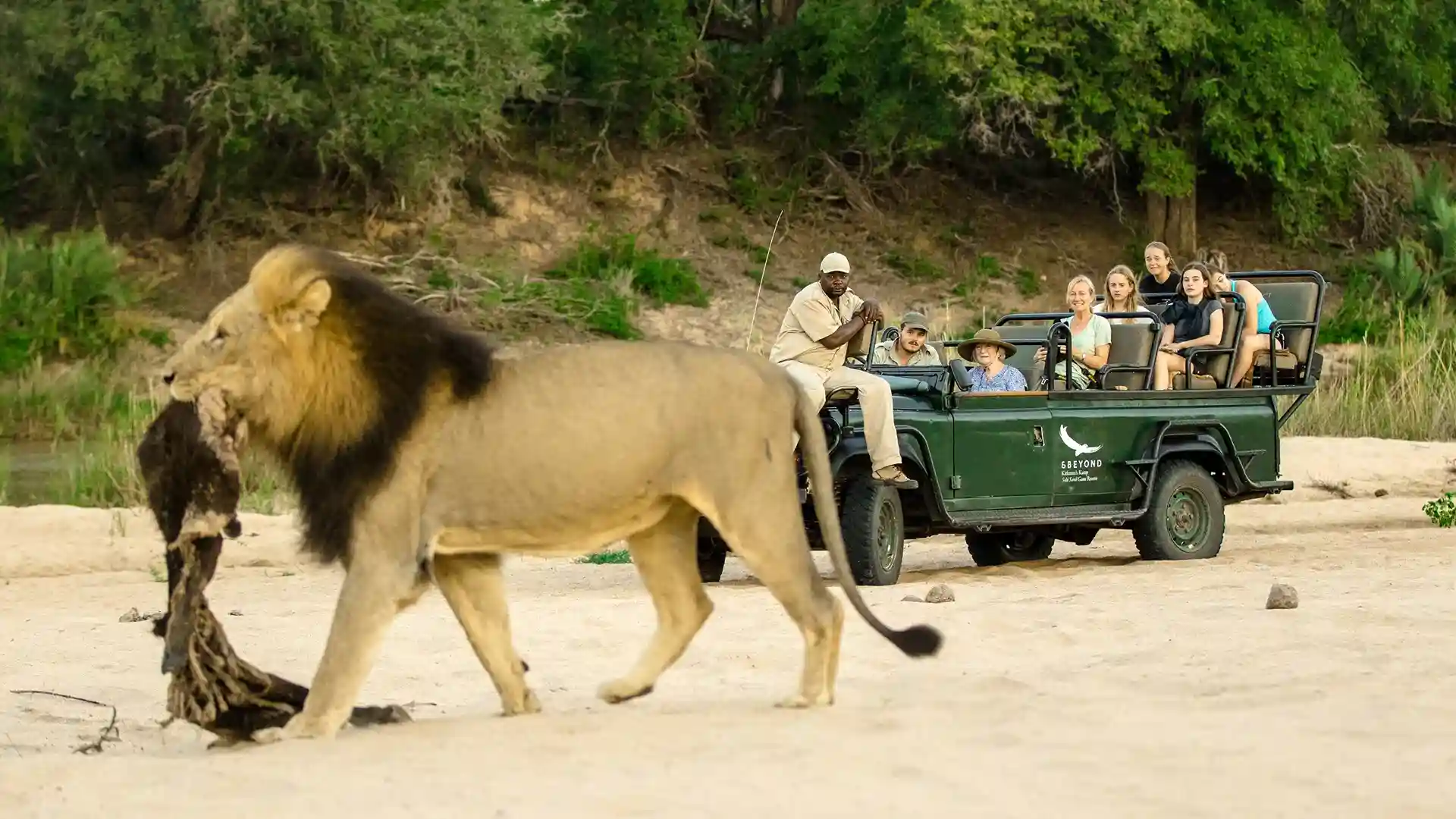Hluhluwe Imfolozi Big 5 Game Reserve Tour