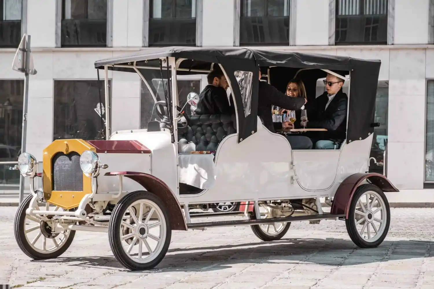 Vienna Private Electric Car Tour