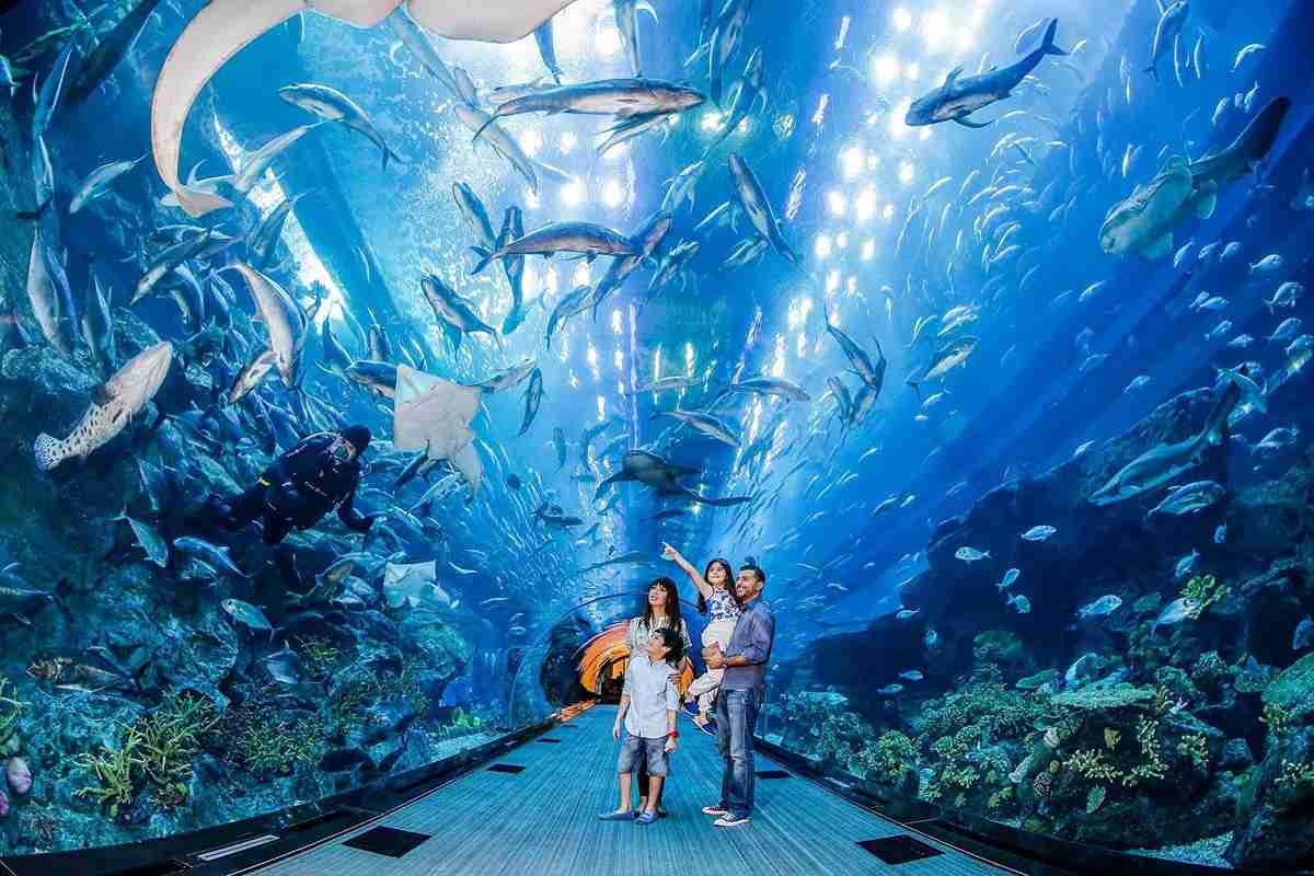 Dubai Mall Aquarium & Underwater Zoo + Wild Wadi Park - Combo