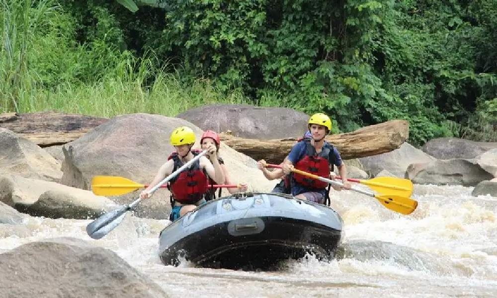 Thai Buffet and Chiang Mai Taeng River Tour