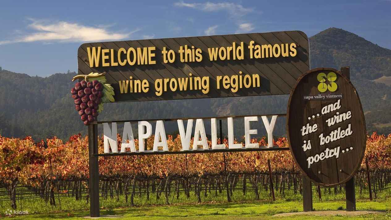 Napa Valley and Sonoma Wine Tour 2025