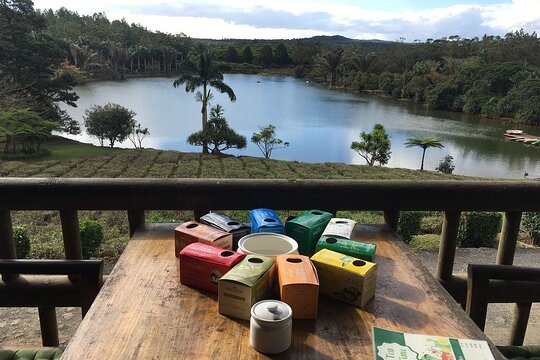 Mauritius full day tour : Private south west with lunch (CHARAMEL)