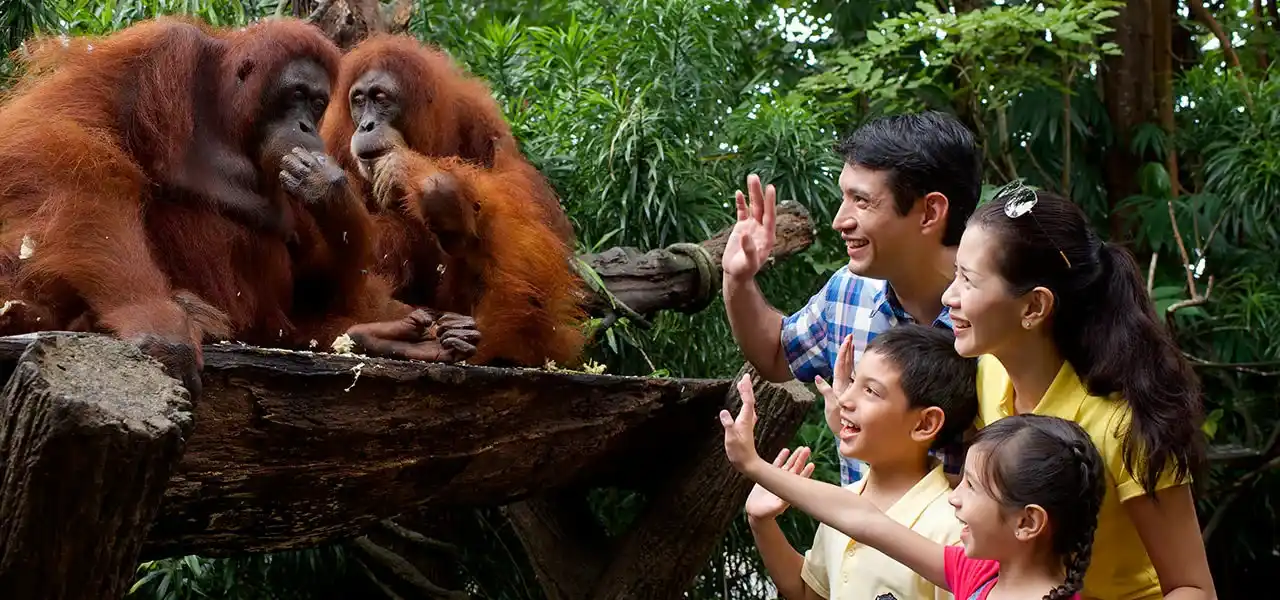  Bali Instagram Tour