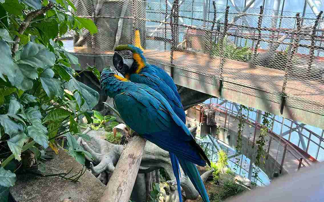 The Green Planet Dubai