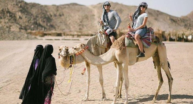 Guided tour to Camel farm
