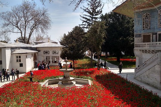 Istanbul Topkapi Palace and Harem Small-Group Guided Tour (Group tour in English)