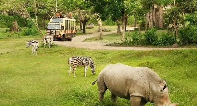 Al Ain Zoo Abu Dhabi