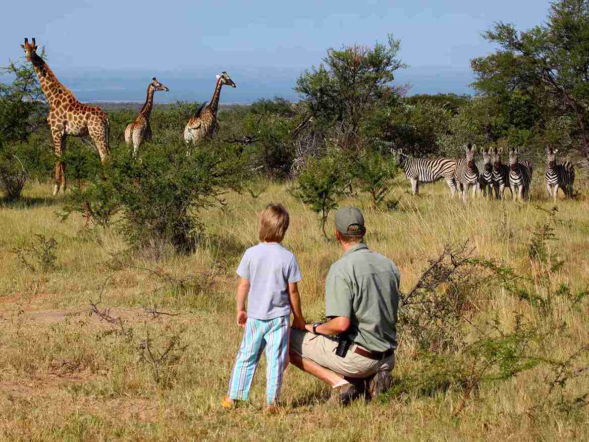 St Lucia: iSimangaliso Wetland Park: Full