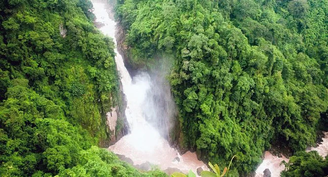Khao Yai National Park Full-Day Tour From Bangkok