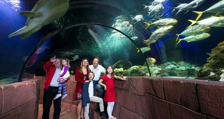 Deep Dive Dubai