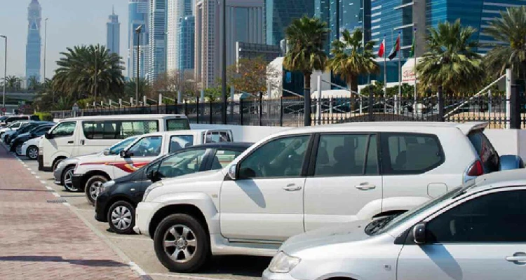 Ski Dubai Tour Private Transfer