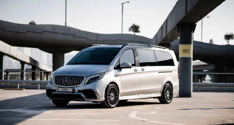 Dolphinarium Dubai Private Transfer