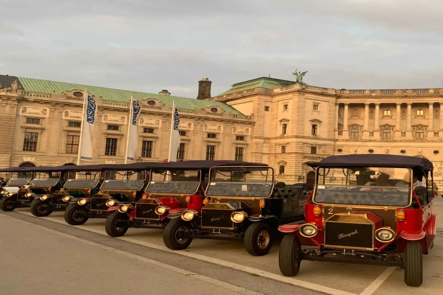 Vienna Private Electric Car Tour