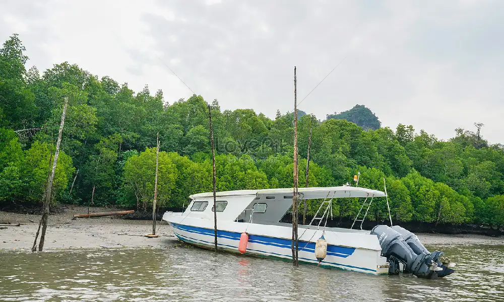 Sharing Half Day Kilim Geoforest Park Mangrove Boat Tour - Sharing-Half Day Boat