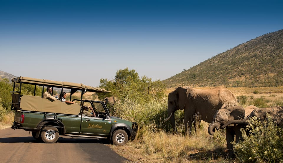 Pilanesberg Nature Reserve Game Safari