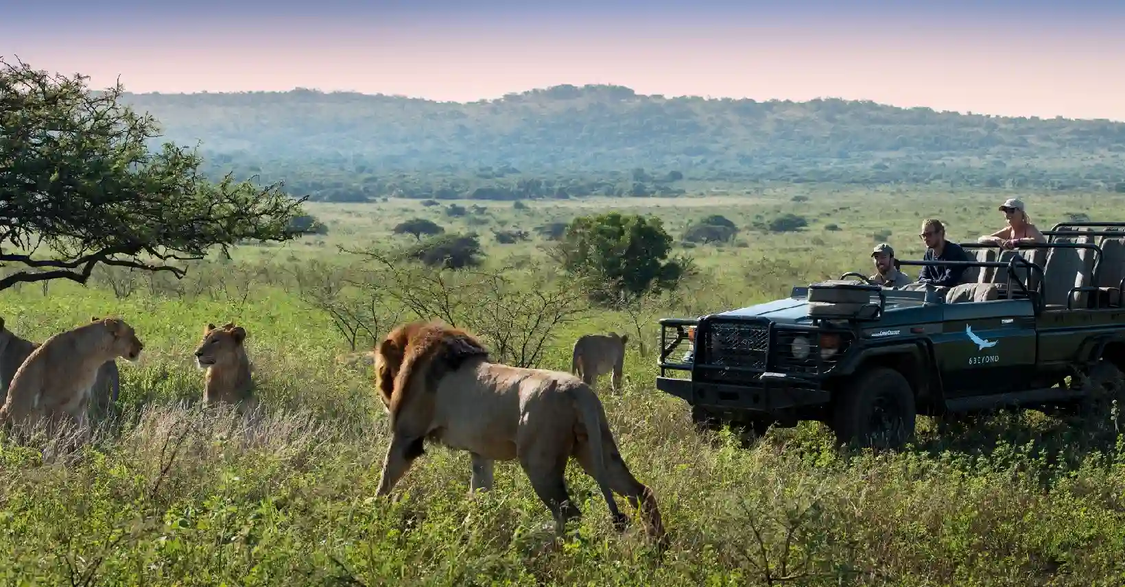 Big Five Game Safari