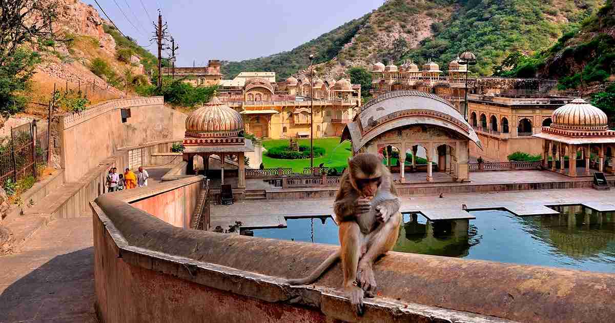 Jaipur Full Day City Sightseeing Tour