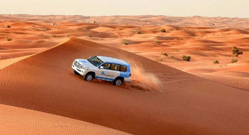 Desert Safaris in Dubai