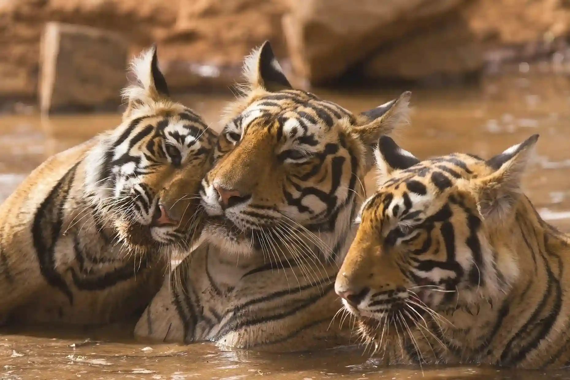 Two day Kruger National Park Safari