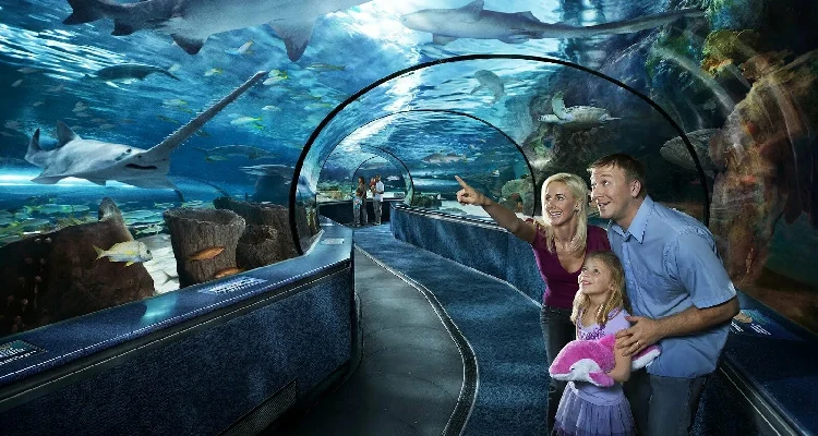 Deep Dive Dubai