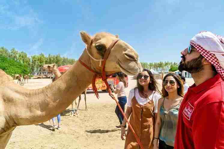 Thrilling Desert Tour Adventures